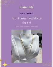 Load image into Gallery viewer, 12 Deals of Christmas- Day 1
